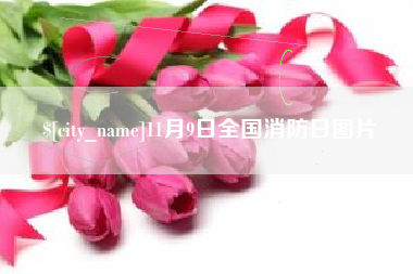 响水11月9日全国消防日图片