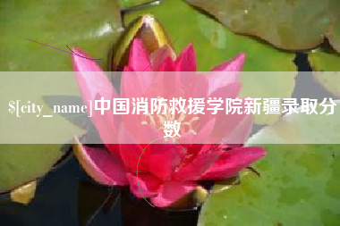 响水中国消防救援学院新疆录取分数
