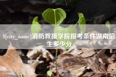 响水消防救援学院报考条件湖南招生多少分