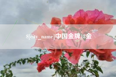 响水中国金牌18金