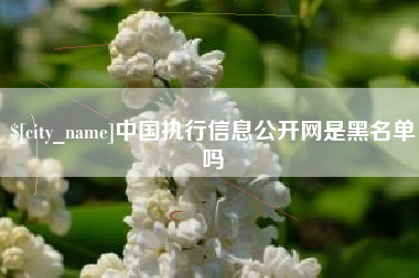 响水中国执行信息公开网是黑名单吗