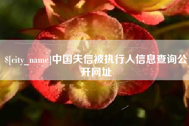 响水中国失信被执行人信息查询公开网址