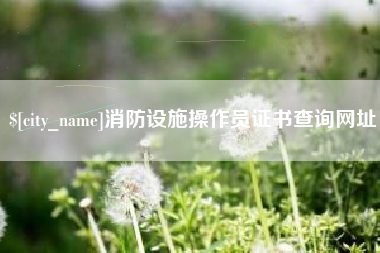 响水消防设施操作员证书查询网址
