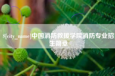 响水中国消防救援学院消防专业招生简章