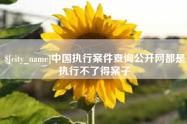 响水中国执行案件查询公开网都是执行不了得案子