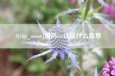 响水消防ccc认证什么意思