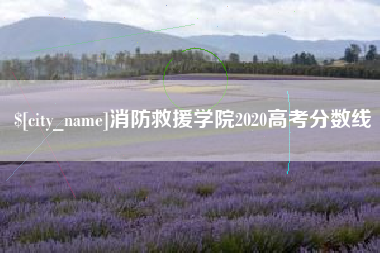 响水消防救援学院2020高考分数线