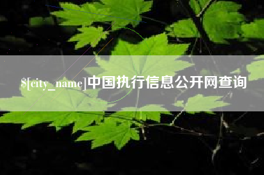 响水中国执行信息公开网查询