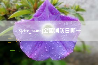 响水全国消防日哪一