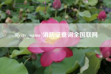 响水消防证查询全国联网