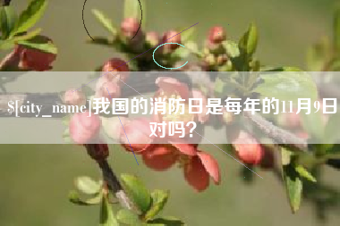 响水我国的消防日是每年的11月9日对吗？