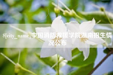 响水中国消防救援学院湖南招生情况公布