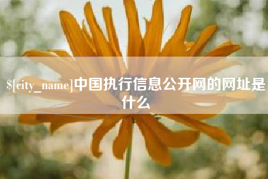 响水中国执行信息公开网的网址是什么