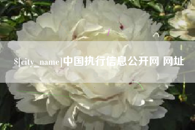 响水中国执行信息公开网 网址