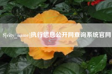 响水执行信息公开网查询系统官网