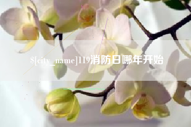 响水119消防日哪年开始