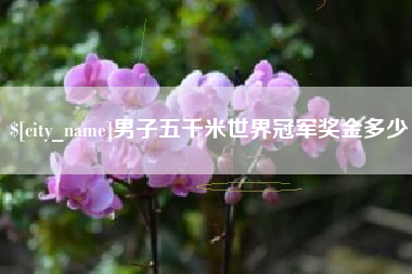 响水男子五千米世界冠军奖金多少