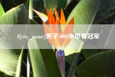 响水男子5000米世界冠军