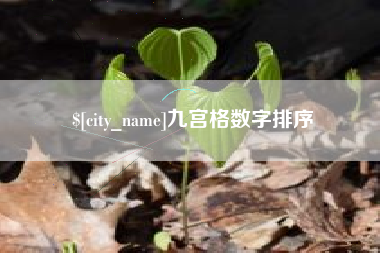 响水九宫格数字排序