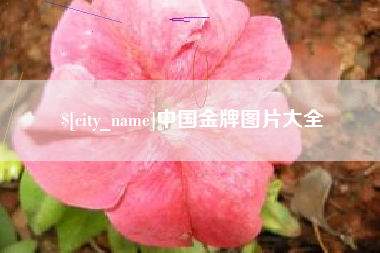 响水中国金牌图片大全