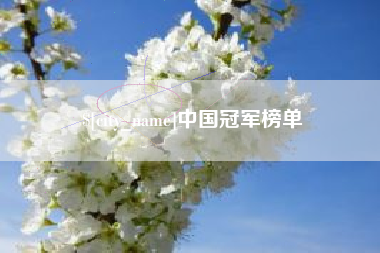 响水中国冠军榜单