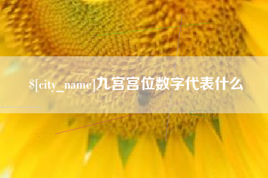 响水九宫宫位数字代表什么