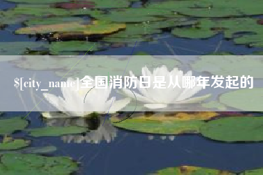 响水全国消防日是从哪年发起的