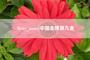 响水中国金牌第九金
