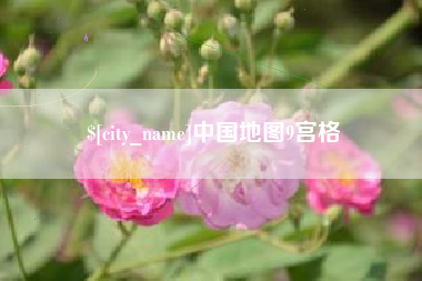 响水中国地图9宫格