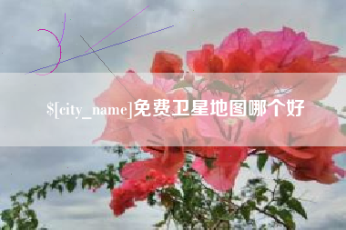 响水免费卫星地图哪个好
