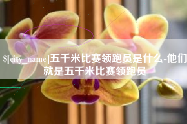 响水五千米比赛领跑员是什么-他们就是五千米比赛领跑员