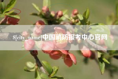 响水中国消防报考中心官网
