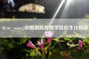 响水中国消防救援学院招生计划表