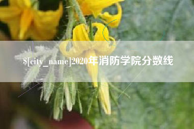 响水2020年消防学院分数线