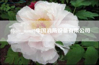响水中国消防设备有限公司