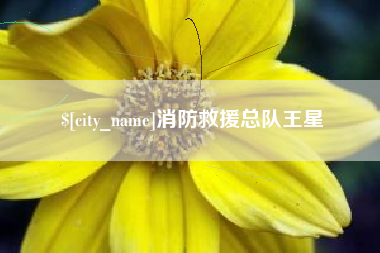 响水消防救援总队王星