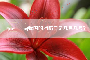 响水我国的消防日是几月几号？