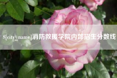响水消防救援学院内部招生分数线