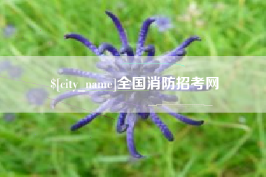 响水全国消防招考网