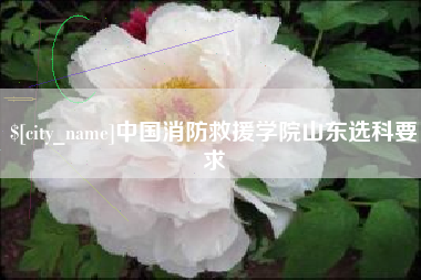 响水中国消防救援学院山东选科要求