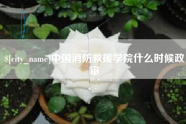 响水中国消防救援学院什么时候政审