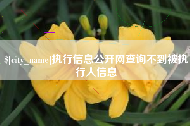 响水执行信息公开网查询不到被执行人信息