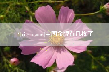 响水中国金牌有几枚了