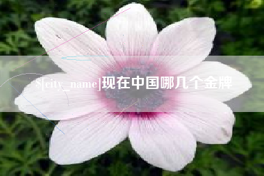 响水现在中国哪几个金牌