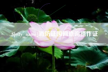 响水消防证国网查询操作证