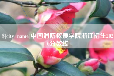 响水中国消防救援学院浙江招生2020分数线