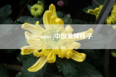 响水中国金牌样子