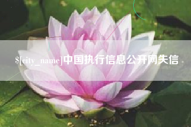 响水中国执行信息公开网失信