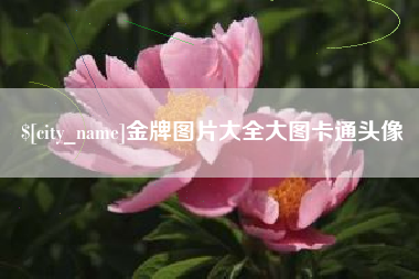 响水金牌图片大全大图卡通头像