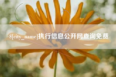 响水执行信息公开网查询免费
